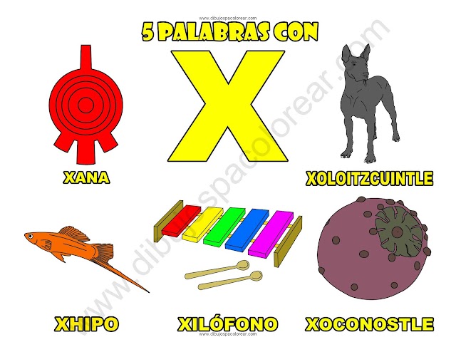 Cinco Palabras con la letra X dibujo a color y para colorear